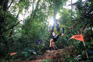 BIB: 
                            <button type="button" onclick="openModal(22651730)" class="btn btn-primary btn-sm float-right btn-popup" data-toggle="modal" data-target=".modal-high-quality">
                        <i class="fas fa-shopping-cart"></i> Add to Cart
                    </button>
                                            <button type="button" onclick="isThisMe(22651730, true)" class="btn btn-success btn-sm float-right btn-popup btn-isme hidden" data-toggle="tooltip" data-placement="bottom" title="นี่คือรูปของคุณใช่ไหม คลิกที่นี่เพื่อเอาเข้าอัลบั้ม">
                        <i class="fas fa-plus"></i> Add to album
                    </button>
                    <button type="button" onclick="isThisMe(22651730, false)" class="btn btn-warning btn-sm float-right btn-popup btn-isnotme hidden">
                        <i class="fas fa-ban"></i> Remove from album
                    </button>